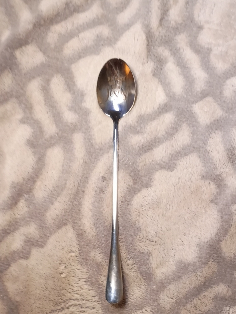 Long-Handled Serving Spoon in Silver Finish